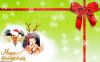 holidaylove.png